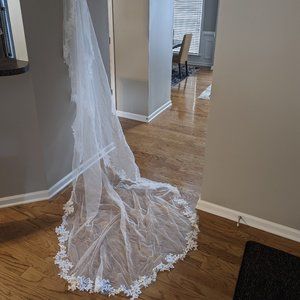 Stunning 9 foot veil